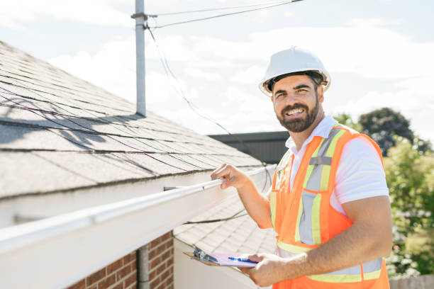 Roof Moss and Algae Removal in Ajo, AZ